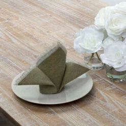 Budget ⭐ VHC Brands Jade Napkin Set - Napkin 18x18 Olive Green ✔️
